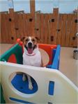 daycare pic 57 - Aston happy